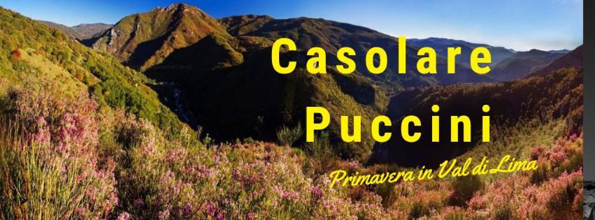Casolare Puccini Apartment Bagni di Lucca Ngoại thất bức ảnh