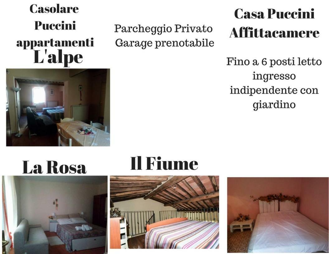 Casolare Puccini Apartment Bagni di Lucca Ngoại thất bức ảnh